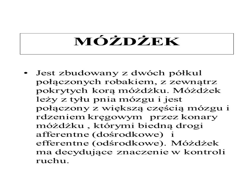 MÓŻDŻEK Jest zbudowany z dwóch półkul połączonych robakiem, z zewnątrz pokrytych korą móżdżku. Móżdżek